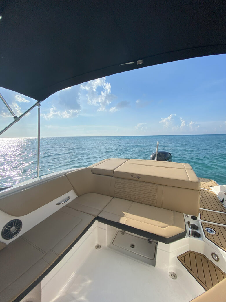 Luxury Yachts 5 Sea Ray 24 ft 2022 5